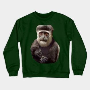 The wonderful eyes of a Colobus monkey Crewneck Sweatshirt